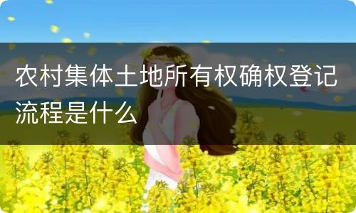 农村集体土地所有权确权登记流程是什么