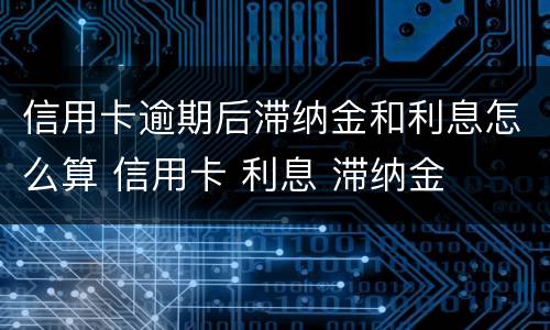信用卡逾期后滞纳金和利息怎么算 信用卡 利息 滞纳金