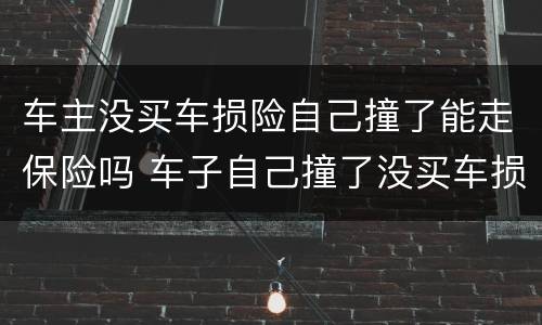 车主没买车损险自己撞了能走保险吗 车子自己撞了没买车损险能赔吗