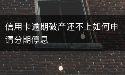 信用卡逾期破产还不上如何申请分期停息