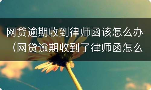 网贷逾期收到律师函该怎么办（网贷逾期收到了律师函怎么办）