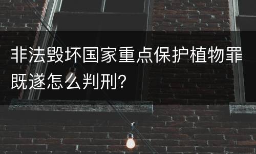 非法毁坏国家重点保护植物罪既遂怎么判刑？