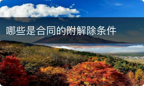 哪些是合同的附解除条件