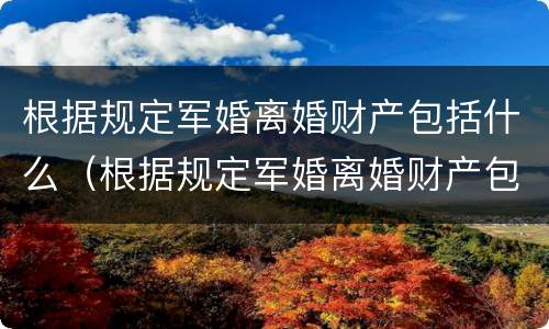 根据规定军婚离婚财产包括什么（根据规定军婚离婚财产包括什么内容）