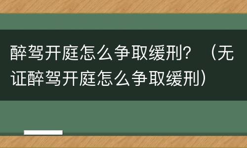 醉驾开庭怎么争取缓刑？（无证醉驾开庭怎么争取缓刑）