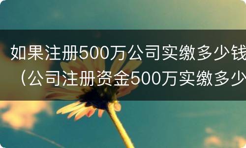 如果注册500万公司实缴多少钱（公司注册资金500万实缴多少）
