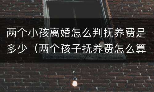 两个小孩离婚怎么判抚养费是多少（两个孩子抚养费怎么算 离婚后）