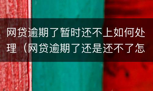 网贷逾期了暂时还不上如何处理（网贷逾期了还是还不了怎么办）