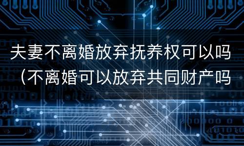 夫妻不离婚放弃抚养权可以吗（不离婚可以放弃共同财产吗）