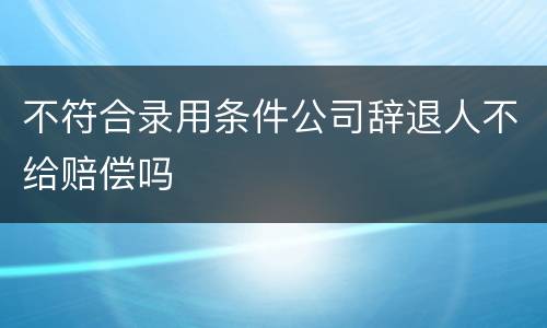 不符合录用条件公司辞退人不给赔偿吗