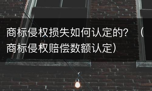 商标侵权损失如何认定的？（商标侵权赔偿数额认定）