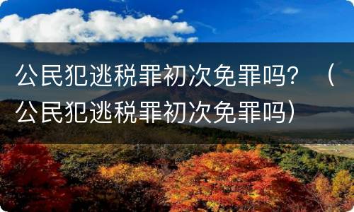 公民犯逃税罪初次免罪吗？（公民犯逃税罪初次免罪吗）