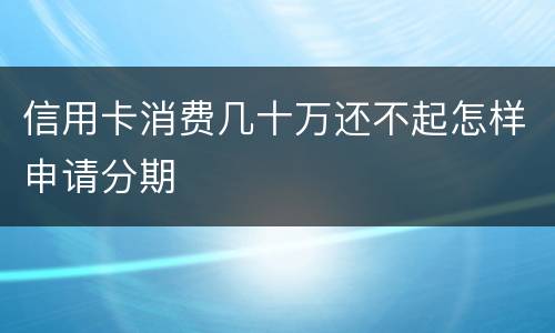信用卡消费几十万还不起怎样申请分期