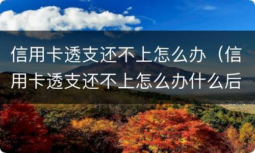 信用卡透支还不上怎么办（信用卡透支还不上怎么办什么后果）