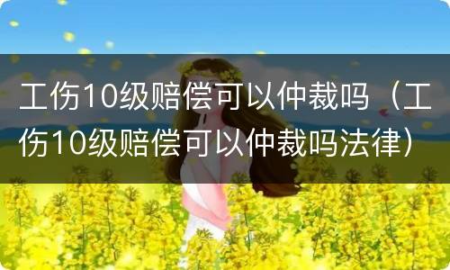 工伤10级赔偿可以仲裁吗（工伤10级赔偿可以仲裁吗法律）