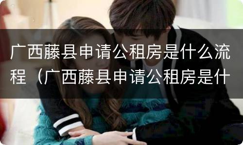 广西藤县申请公租房是什么流程（广西藤县申请公租房是什么流程图片）