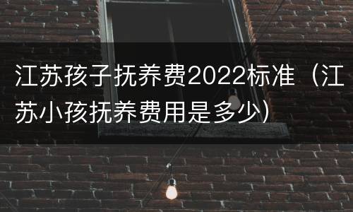 江苏孩子抚养费2022标准（江苏小孩抚养费用是多少）
