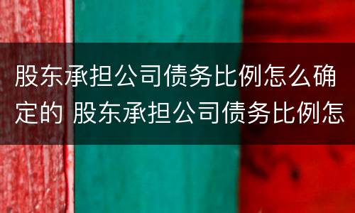 股东承担公司债务比例怎么确定的 股东承担公司债务比例怎么确定的呢