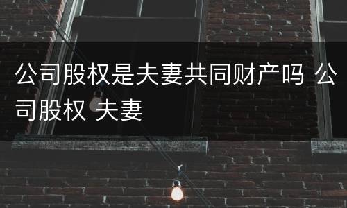 公司股权是夫妻共同财产吗 公司股权 夫妻