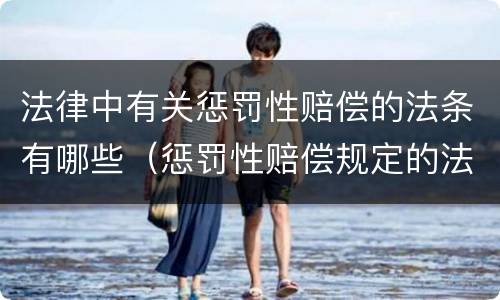 法律中有关惩罚性赔偿的法条有哪些（惩罚性赔偿规定的法律条文）