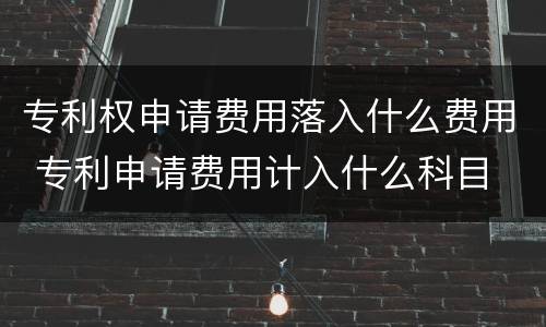 专利权申请费用落入什么费用 专利申请费用计入什么科目