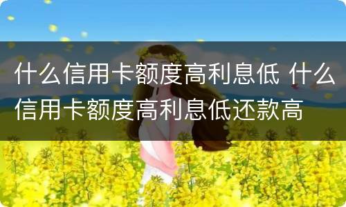 什么信用卡额度高利息低 什么信用卡额度高利息低还款高