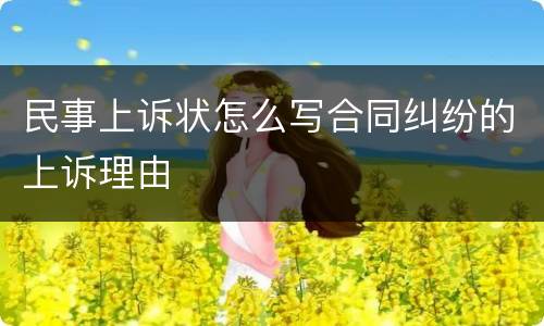 民事上诉状怎么写合同纠纷的上诉理由