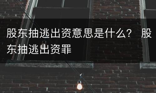 股东抽逃出资意思是什么？ 股东抽逃出资罪