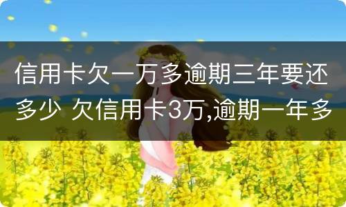 信用卡欠一万多逾期三年要还多少 欠信用卡3万,逾期一年多了