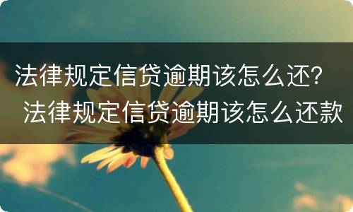 法律规定信贷逾期该怎么还？ 法律规定信贷逾期该怎么还款