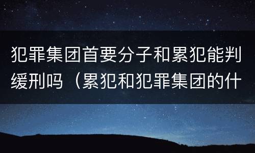 犯罪集团首要分子和累犯能判缓刑吗（累犯和犯罪集团的什么不适用缓刑）