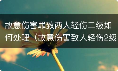 故意伤害罪致两人轻伤二级如何处理（故意伤害致人轻伤2级怎么判）