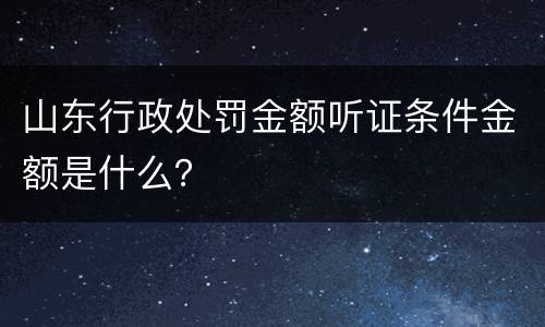 山东行政处罚金额听证条件金额是什么？