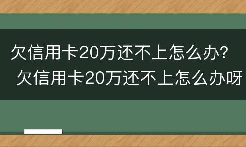 欠信用卡20万还不上怎么办？ 欠信用卡20万还不上怎么办呀