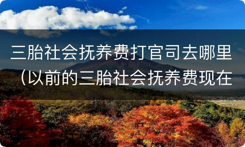 三胎社会抚养费打官司去哪里（以前的三胎社会抚养费现在可以追究吗）