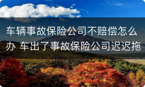 车辆事故保险公司不赔偿怎么办 车出了事故保险公司迟迟拖着不解决