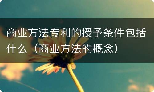 商业方法专利的授予条件包括什么（商业方法的概念）