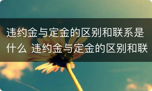 违约金与定金的区别和联系是什么 违约金与定金的区别和联系是什么意思