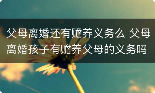 父母离婚还有赡养义务么 父母离婚孩子有赡养父母的义务吗