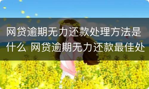 网贷逾期无力还款处理方法是什么 网贷逾期无力还款最佳处理方法