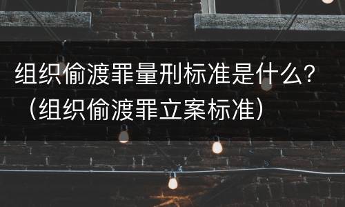 组织偷渡罪量刑标准是什么？（组织偷渡罪立案标准）