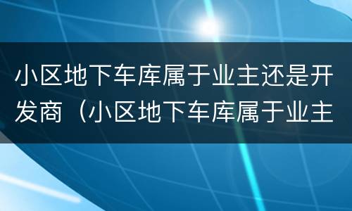 小区地下车库属于业主还是开发商（小区地下车库属于业主还是开发商呢）