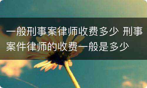 一般刑事案律师收费多少 刑事案件律师的收费一般是多少