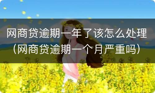 网商贷逾期一年了该怎么处理（网商贷逾期一个月严重吗）