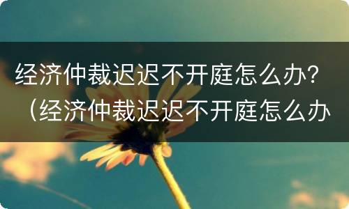 经济仲裁迟迟不开庭怎么办？（经济仲裁迟迟不开庭怎么办理）