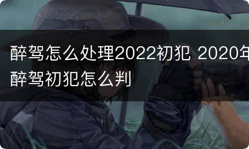 醉驾怎么处理2022初犯 2020年醉驾初犯怎么判
