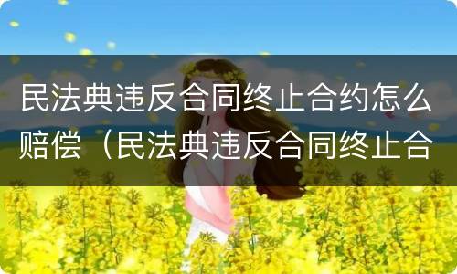 民法典违反合同终止合约怎么赔偿（民法典违反合同终止合约怎么赔偿的）