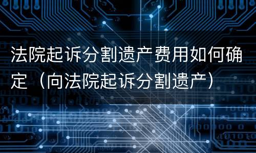 法院起诉分割遗产费用如何确定（向法院起诉分割遗产）