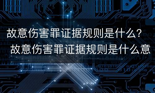 故意伤害罪证据规则是什么？ 故意伤害罪证据规则是什么意思