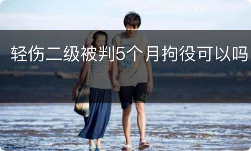 轻伤二级被判5个月拘役可以吗